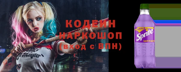 сатива Покачи