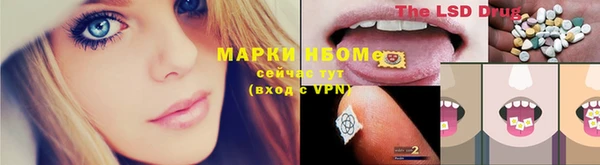 гидра Пересвет