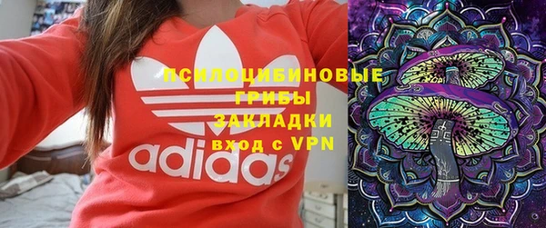сатива Покачи
