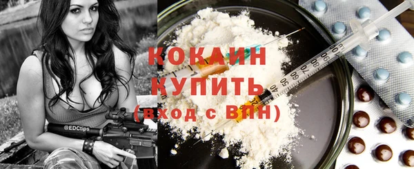 гидра Пересвет