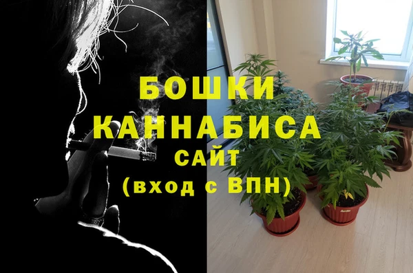 гидра Пересвет