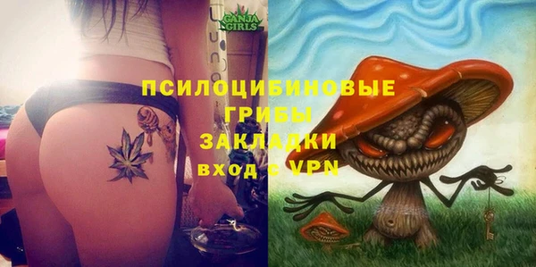 амф Переславль-Залесский